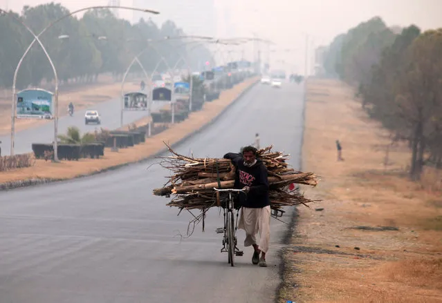 A man pushes a bicycle loaded with tree branches to be used for heating and cooking, on a road in Islamabad, Pakistan January 23, 2017. (Photo by Faisal Mahmood/Reuters)