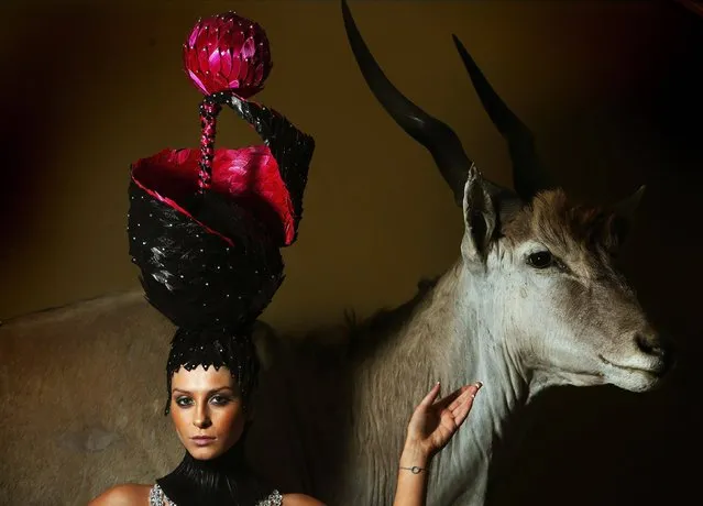 Model Carla Jackson wears a “Creative Fantasy” hairpiece designed by last year's IHF Hairdresser of the Year at the launch of the 2014 Irish Hairdressing Championships at the National History museum in Dublin. (Photo by Brian Lawless/PA Wire)