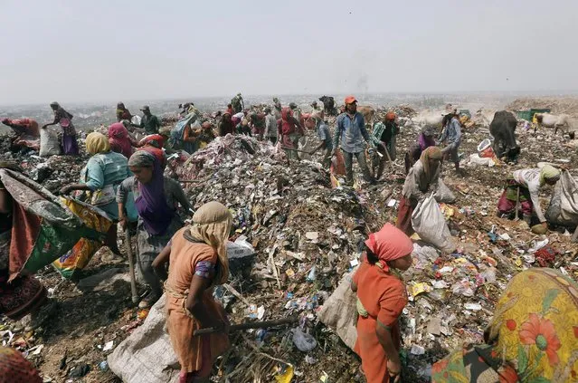 Ragpickers collect recyclables from a dump yard in New Delhi, India, April 22, 2016. (Photo by Anindito Mukherjee/Reuters)