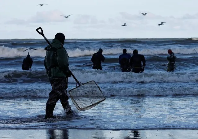 Amber hunters gather amber on the Baltic Sea coast in the town of Pionersky in Kaliningrad region, Russia on January 18, 2022. (Photo by Vitaly Nevar/Reuters)