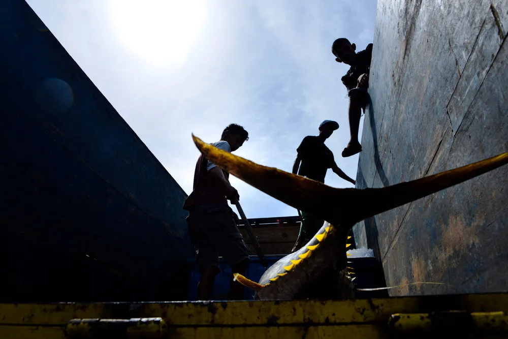 A Look at Life in Indonesia