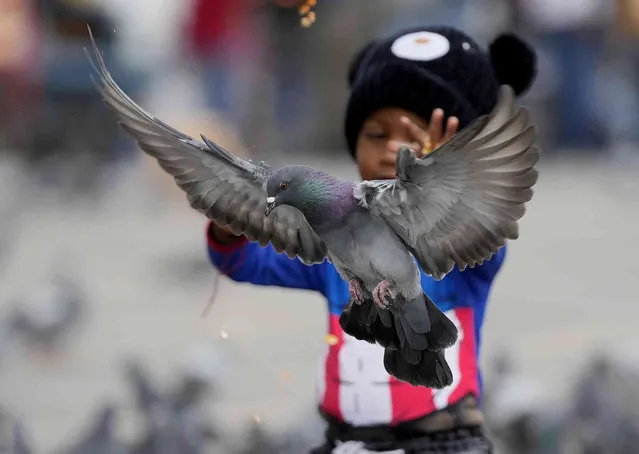 A boy reaches out to touch a pigeon at Bolivar Square, in Bogota, Colombia, Wednesday, February 9, 2022. (Photo by Fernando Vergara/AP Photo)