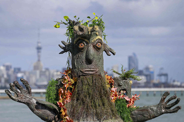 Allan Bullot runs a half marathon dressed as Lord of the Rings character Treebeard, in a costume weighing 25kg along Auckland's waterfront in an effort to fundraise for his friend suffering with motor neuron disease Sunday, March, 19, 2023. (Photo by Alex Burton/NZ Herald Photo via AP Photo)