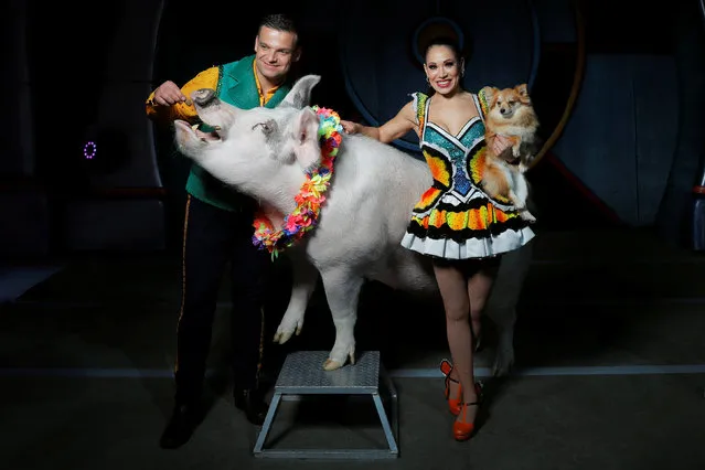 Animal trainers Hans and Mary Klose pose with their animals for a portrait before taking part in the last weekend of the Ringling Bros. and Barnum & Bailey circus at Nassau Coliseum in Uniondale, New York, May 19, 2017. (Photo by Lucas Jackson/Reuters)