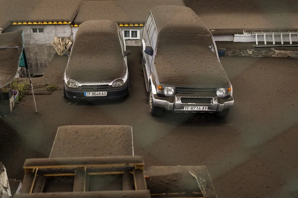 Pictures of the Year 2021, Part 73/102