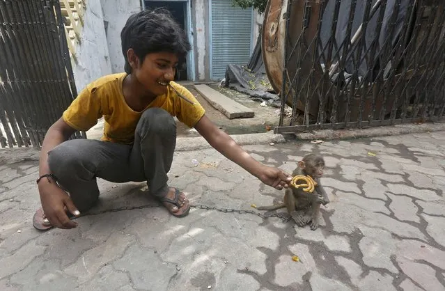 A young boy offers sweets to his pet monkey named Musafir on a pavement in Kolkata, India, June 9, 2016. (Photo by Rupak De Chowdhuri/Reuters)