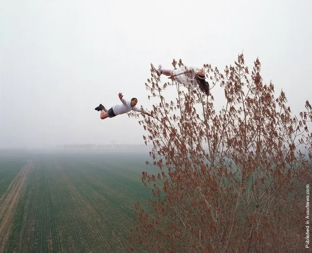 Li Wei