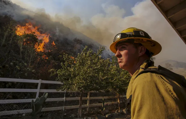 A firefighter keeps watch a wildfire in Azusa, Calif., Monday, June 20, 2016. New wildfires erupted Monday near Los Angeles and chased people from their suburban homes as an intense heatwave stretching from the West Coast to New Mexico blistered the region. (Photo by Ringo H.W. Chiu/AP Photo)