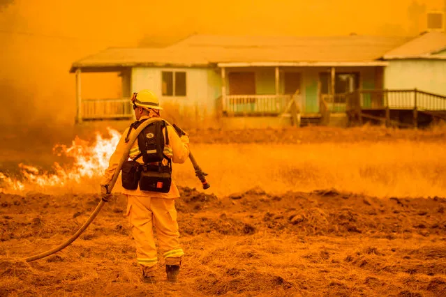 A firefighter works to protect a home in Mariposa, California on July 19, 2017 The Detwiler fire, which has burned more than 45,000 acres and destroyed eight structures, is currently at 7 percent containment. (Photo by Josh Edelson/AFP Photo)
