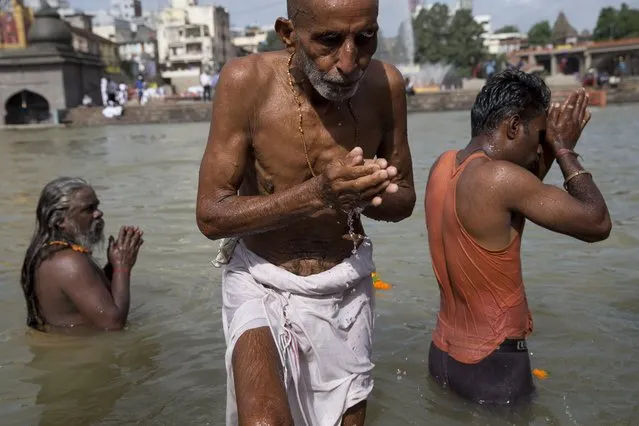 Indian Sadhus, or Hindu holy men, bath in the Godavari River during Kumbh Mela, or Pitcher Festival in Nasik, India, Saturday, August 29, 2015. According to Hindu mythology, the Kumbh Mela celebrates the victory of gods over demons in a furious battle over a nectar that would give them immortality. As one of the gods fled with a pitcher of the nectar across the skies, it spilled on four Indian towns- Allahabad, Nasik, Ujjain and Haridwar. (Photo by Tsering Topgyal/AP Photo)