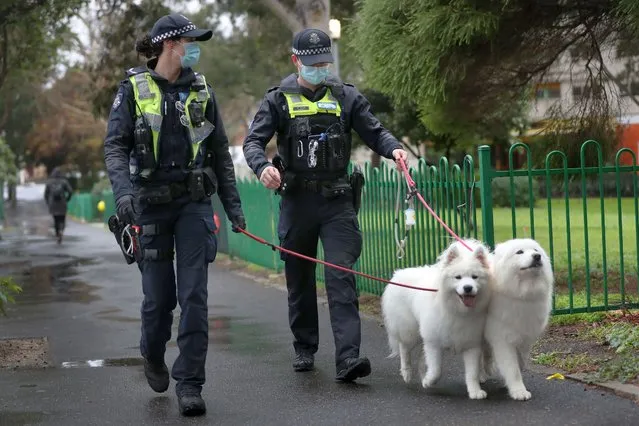 Police walk dogs belonging to residents of the Alfred Street public housing tower which remains under tight lockdown over to the coronavirus disease (COVID-19) pandemic, in North Melbourne, Victoria, Australia, 11 July 2020. Victoria has recorded 216 new coronavirus cases in the past 24 hours, down from the 288 new cases recorded the previous day. (Photo by David Crosling/EPA/EFE/Rex Features/Shutterstock)