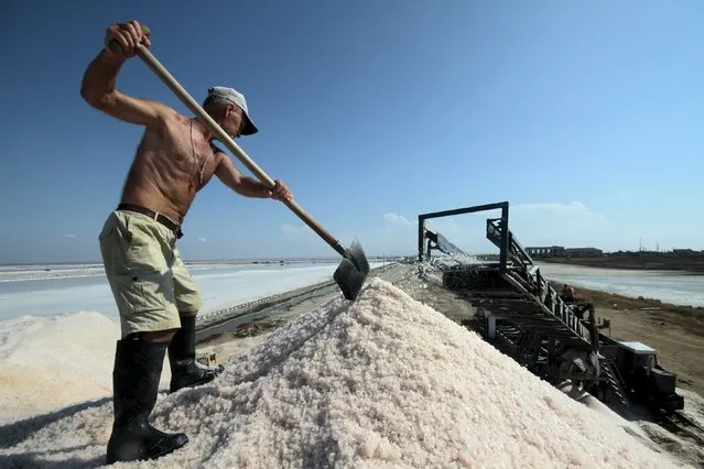 A laborer works at a salt production site at the Sasyk-Sivash lake near the city of Yevpatoria, Crimea, September 25, 2015. (Photo by Pavel Rebrov/Reuters)
