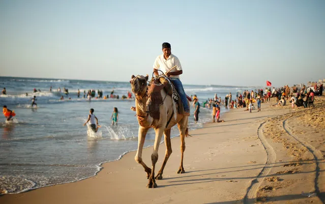 A Palestinian man rides a camel on a beach in Gaza City July 19, 2016. (Photo by Suhaib Salem/Reuters)