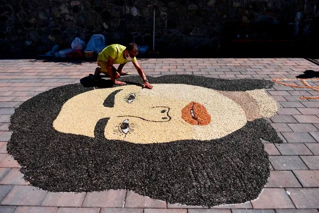 Kosovo artist Alkent Pozhegu works on the final touches of a mosaic made with grains and seeds, depicting the portrait of British pop star of Kosovo descent Dua Lipa, in Gjakova on July 29, 2020. (Photo by Armend Nimani/AFP Photo)