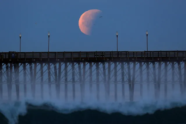 A blue moon comes out of a lunar eclipse as it sets past an ocean pier in Oceanside, California on January 31, 2018. (Photo by Mike Blake/Reuters)