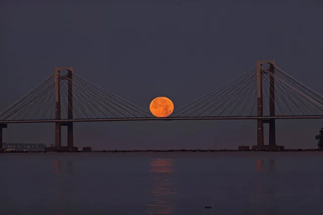 The full moon peeks out over the estuary of Vigo and behind the Rande Bridge during a penumbral lunar eclipse seen overnight from between the towns of Redondela and Moana, Galicia, northwestern Spain, 05 July 2020. A penumbral lunar eclipse is a natural phenomenon that occurs when the Earth is aligned in a near-straight line with the Sun and the Moon, thus blocking some sunlight from directly reaching the Moon's surface and casting a penumbra, or shadow, on our planet's sole natural satellite. (Photo by SXENICK/EPA/EFE)