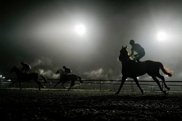 Returning after finishing The Join Racing TV Now Handicap at Kempton Park on January 25, 2023 in Sunbury, England. (Photo by Alan Crowhurst/Getty Images)