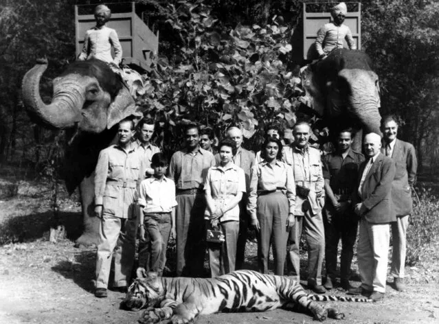 Britain's Queen Elizabeth II and Prince Philip, stand with their hosts Maharajah and Maharanee of Jaipur, in the forests of Rajsthan, India, January 24, 1961. From left; Prince Philip, unknown, unknown child, Maharajah of Jaipur, Queen, Maharanee Gayatri Devi, rest are unamed. The tiger in the foreground was shot by Prince Philip and the elephants used in the hunt are seen at the back. (Photo by AP Photo)