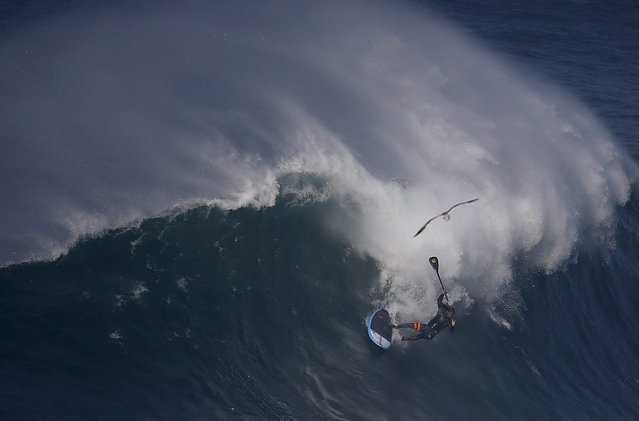 Big-wave surfer Kealii Mamala of Hawaii wipes out on a large wave at Praia do Norte, Portugal, November 13, 2015. (Photo by Rafael Marchante/Reuters)