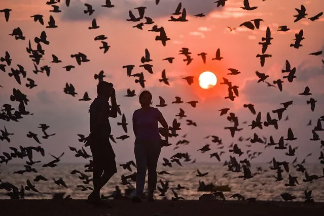 Beachgoers walk along Edward Elliot's beach as a flock of pigeons flies during the sunrise, in Chennai, India on March 16, 2023. (Photo by Idrees Mohammed/EPA/EFE)