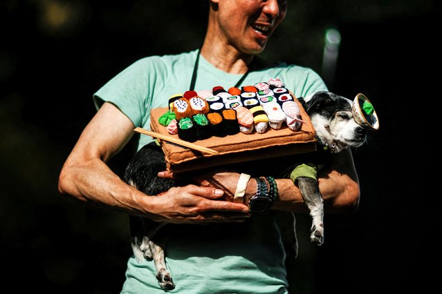 Bodhi, a chiweenie in costume as Sushi Box, attends the Annual Tompkins Square Halloween Dog Parade in New York City, U.S., October 19, 2025. (Photo by Eduardo Munoz/Reuters)