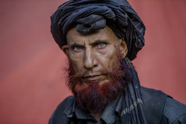 In this May 9, 2018, photo, Dawood Khatana, a Kashmiri nomadic Bakarwal poses for a photograph at a camp in Newa, 29 kilometers (18 miles) south of Srinagar, Indian controlled Kashmir. After centuries of traversing the Himalayas, life is changing for Indian-controlled Kashmir’s Bakarwal nomads, who have seen cities close in on their grazing lands, hostility from locals if they build permanent homes and, this year, a horrific gang-rape and murder of a child, a crime committed to drive them away. For generations, the Muslim Bakarwals have traveled between summer pastures in the Himalayas and winter grazing grounds in the lowland plains, herding their goats, sheep and horses. (Photo by Dar Yasin/AP Photo)