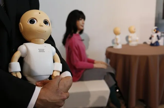 New talking robots CommU is held by Osaka University Assistant Prof. Yuichiro Yoshikawa during a press event in Tokyo Tuesday, January 20, 2015 as Android robot Otonaroid, center, another talking robot Sota, right, and two CommU robots are shown. (Photo by Shizuo Kambayashi/AP Photo)