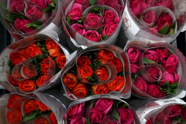 Packed flowers to be exported are pictured  at “Flowers of the Andes” in Bogota on January 31, 2025. Colombia is one the world's largest flowers exporter, and millions of all kind of flowers are shipped around the world to supply the demand for Valentine's Day on February 14. (Photo by Raul Arboleda/AFP Photo)