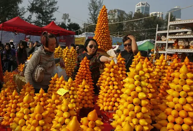Customers buy Solanum mammosum, also known as nipplefruit, for home decoration at a Lunar New Year market in Victoria Park of Hong Kong Tuesday, February 18, 2015. (Photo by Kin Cheung/AP Photo)