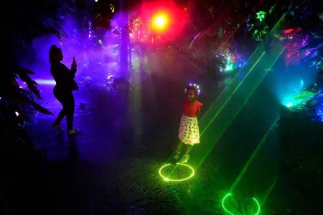 Celine Abraham, 5, and members of her family visit during a preview of NightGarden, an annual holiday experience featuring thousands of lights and special effects, at Fairchild Tropical Botanic Garden, Thursday, November 9, 2023, in Coral Gables, Fla. (Photo by Rebecca Blackwell/AP Photo)