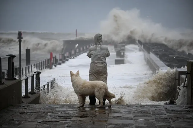 A person and their dog watch the waves, on November 02, 2023 in West Bay, Dorset. Storm Ciaran swept across the southwest and south of England overnight posing a formidable threat in certain areas such as Jersey, where winds exceeded 100 mph overnight. This, along with the already-soaked ground from Storm Babet, increases the risk of flooding in already vulnerable areas. (Photo by Finnbarr Webster/Getty Images)