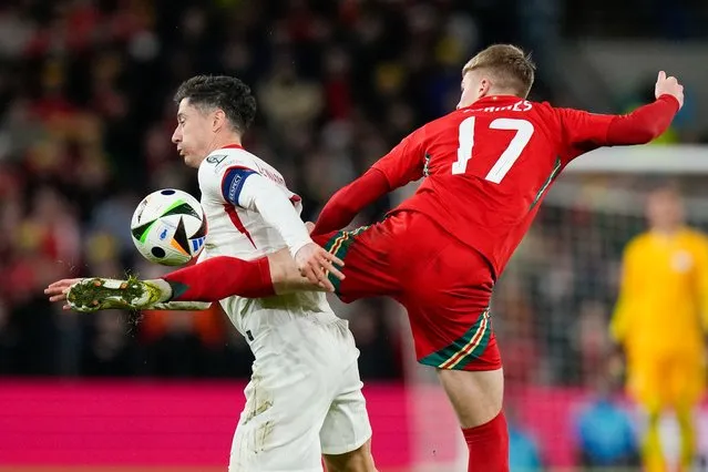 Wales Jordan James, right, and Poland's Robert Lewandowski battle for the ball during Euro 2024 soccer play-off match between Wales and Poland at Cardiff City Stadium, Wales, Tuesday, March 26, 2024. (Photo by Alastair Grant/AP Photo)
