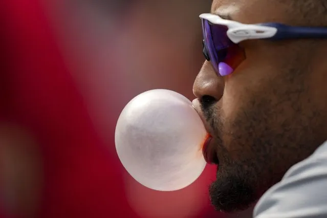 Washington Nationals' Nasim Nunez blows a bubble with his gum while sitting in the dugout during a baseball game against the Cincinnati Reds in Cincinnati, Sunday, March 31, 2024. (Photo by Aaron Doster/AP Photo)