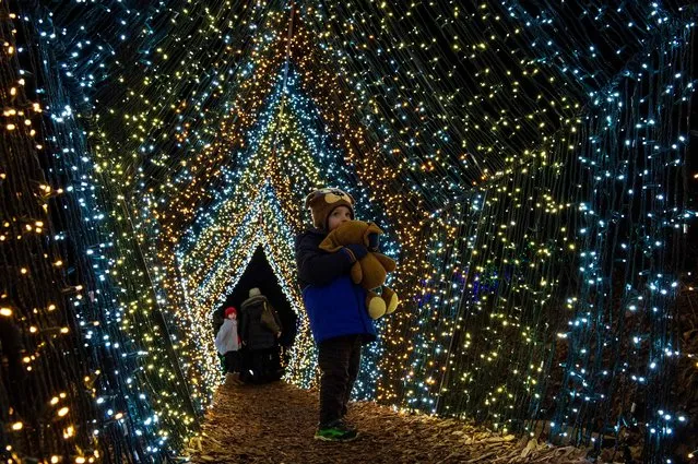 A boy hugs a teddy bear as he stands in a tunnel of lgihts at Winterlights at Naumkeag in Stockbridge, Massachusetts on December 12, 2021. (Photo by Joseph Prezioso/AFP Photo)