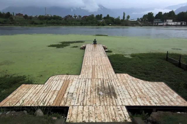 A man fishes from the algae-covered Nigeen Lake in Srinagar April 22, 2016. (Photo by Danish Ismail/Reuters)