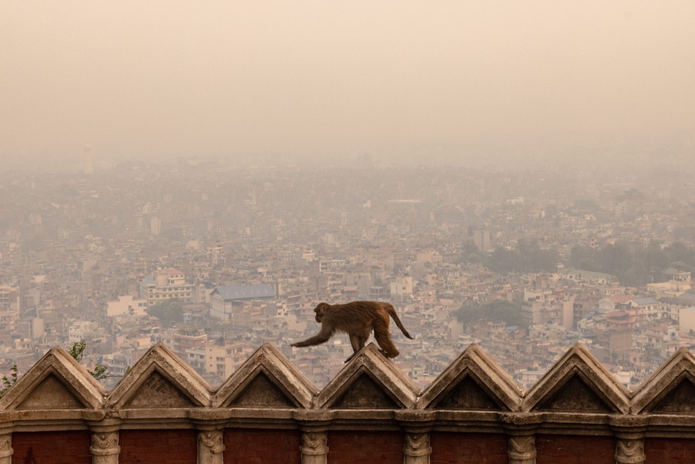 A Look at Life in Nepal