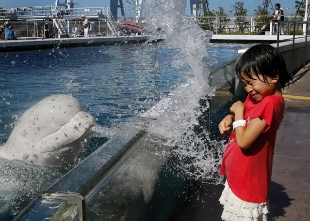 A girl reacts to water splash made by by a beluga whale at the Hakkeijima Sea Paradise aquarium-amusement park complex in Yokohama, southwest of Tokyo, Tuesday, July 21, 2015. Temperatures in Tokyo's metropolitan area neared around 96 degree Fahrenheit, or 35 degree Celsius, on Tuesday. (Photo by Shuji Kajiyama/AP Photo)