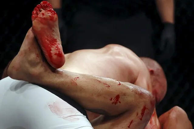 Blood is seen on the feet of Rafael Cavalcante of Brazil as he fights with Patrick Cummins of U.S during their Ultimate Fighting Championship (UFC) match, a professional mixed martial arts (MMA) competition in Rio de Janeiro, Brazil August 1, 2015. (Photo by Ricardo Moraes/Reuters)
