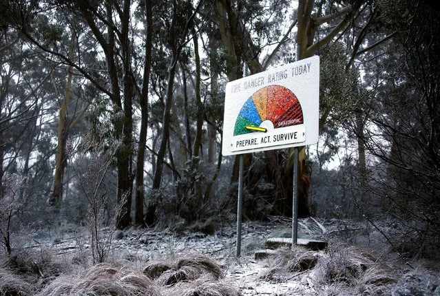 A sign displaying the level of bushfire danger is covered in snow after snow fell in the town of Mount Victoria, located in the Blue Mountains west of Sydney, Australia, June 24, 2016. (Photo by David Gray/Reuters)