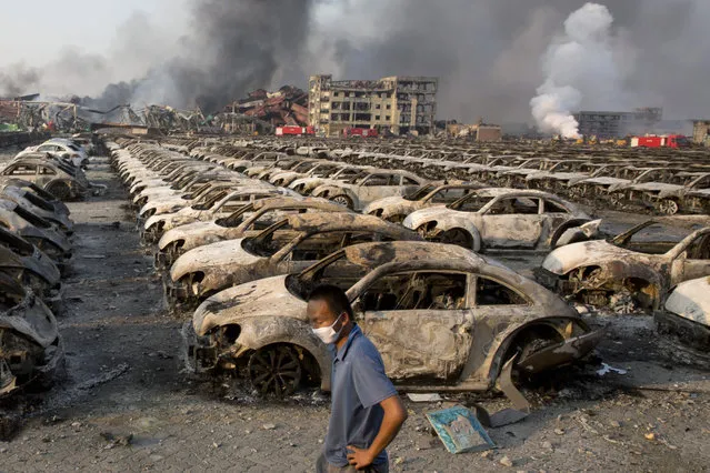 In this photo taken Thursday, August 13, 2015, a man walks past the charred remains of new cars at a parking lot near the site of an explosion at a warehouse in northeastern China's Tianjin municipality. Rescuers have pulled a survivor from an industrial zone about 32 hours after it was devastated by huge blasts in China's Tianjin port. Meanwhile, authorities are moving gingerly forward in dealing with a fire still smoldering amid potentially dangerous chemicals. (Photo by Ng Han Guan/AP Photo)