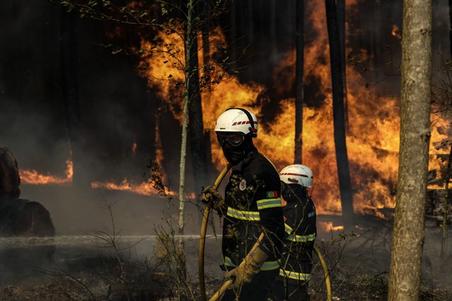 Firefighters in action as a forest fire burns in Soutelo, Albergaria-a-Velha, Portugal, 16 September 2024. Around 70 people had to be evacuated and at least five properties, including homes, were hit by flames in different rural fires that broke out in the northern and central regions of Portugal, according to the Civil Protection. (Photo by Paulo Novais/EPA/EFE)