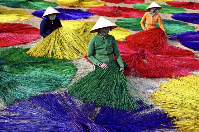 Women weave dyed strands of sedge in Vietnam in the last decade of September 2024. The village of Phu Tan is famous for the craft, which produces colourful mats, bags and sandals. (Photo by Sabina Akter/Solent news)