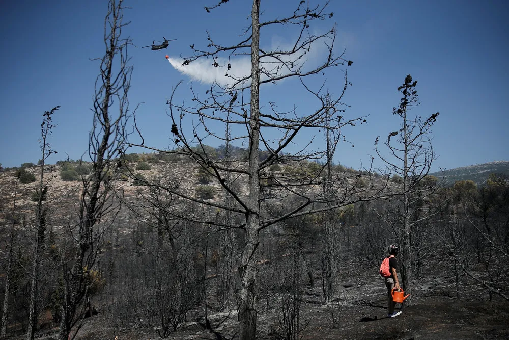 The Day in Photos – August 11, 2017