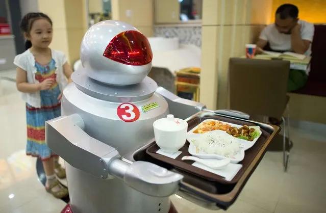 This photo taken on August 13, 2014, shows a robot carrying food to customers in a restaurant in Kunshan.  It's more teatime than Terminator – a restaurant in China is electrifying customers by using more than a dozen robots to cook and deliver food. (Photo by Johannes Eisele/AFP Photo)