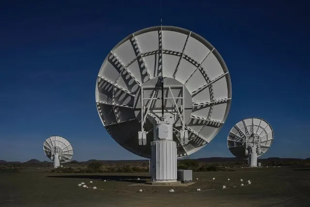Part of the ensemble of dishes forming South Africa's MeerKAT radio telescope is seen in Carnarvon on July 16, 2016. Even operating at a quarter of its eventual capacity, South Africa's MeerKAT radio telescope showed off its phenomenal power on July 16, revealing 1,300 galaxies in a tiny corner of the universe where only 70 were known before. The image released Saturday was the first from MeerKAT, where 16 dishes were formally commissioned the same day. (Photo by Mujahid Safodien/AFP Photo)