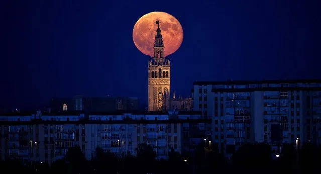 The Supermoon rises over the Giralda, the tower of Seville's Cathedral, in Spain. (Photo by Miguel Angel Morenatti/AP Photo)
