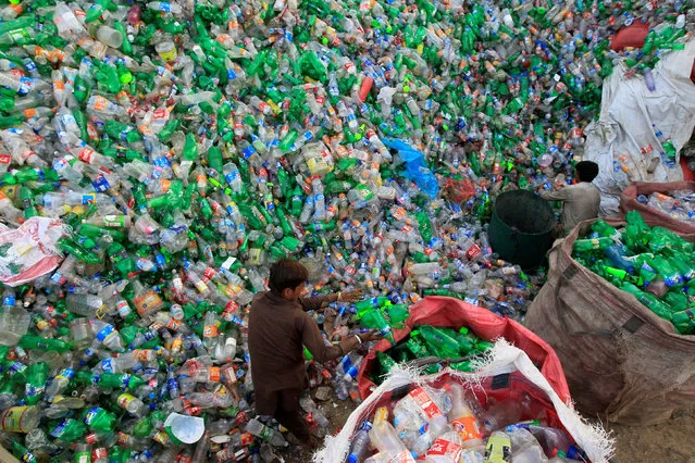 Workers sort bottles to throw them in a plastic bottle chipper at a recycling workshop in Islamabad, Pakistan September 12, 2017. (Photo by Caren Firouz/Reuters)