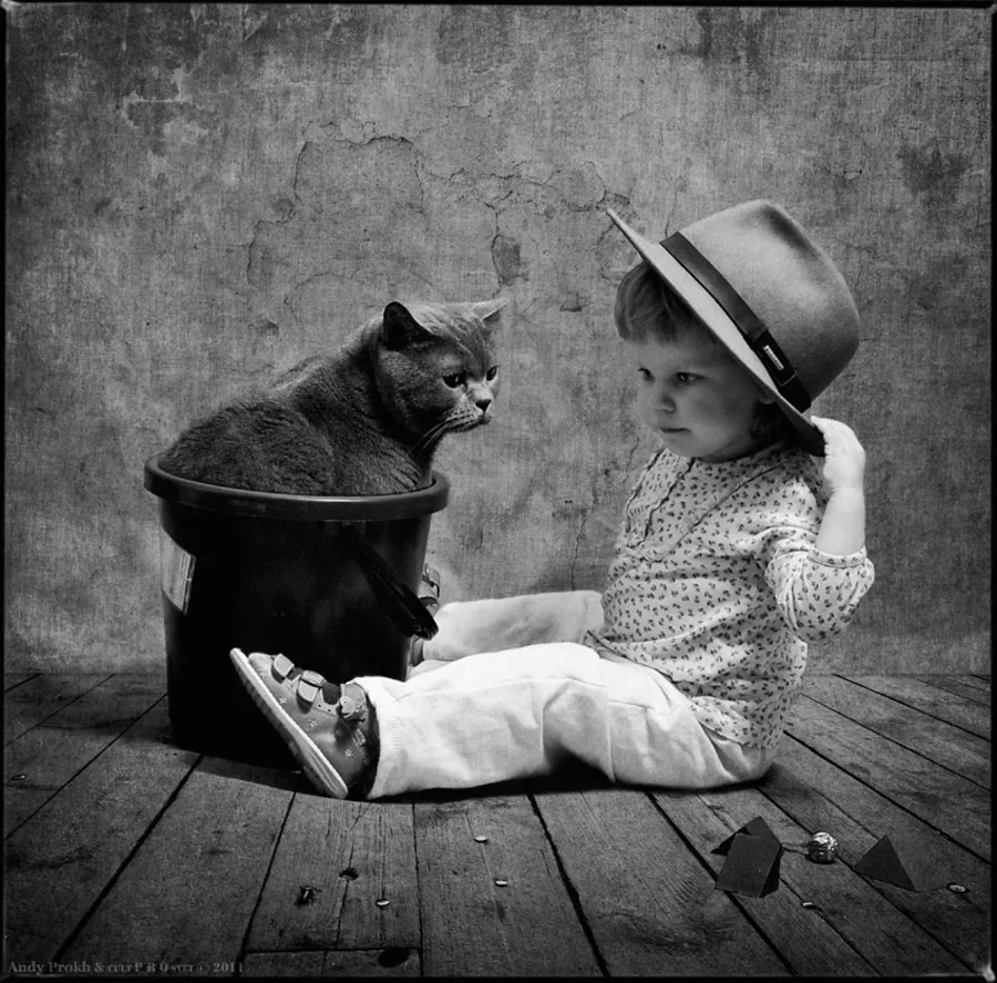 Черно белый котенок девочка. Andy Prokh фотограф. Девочка и кот Энди прох. Фотопроект маленькая девочка и кот том от Andy Prokh. Девочка с котятами.