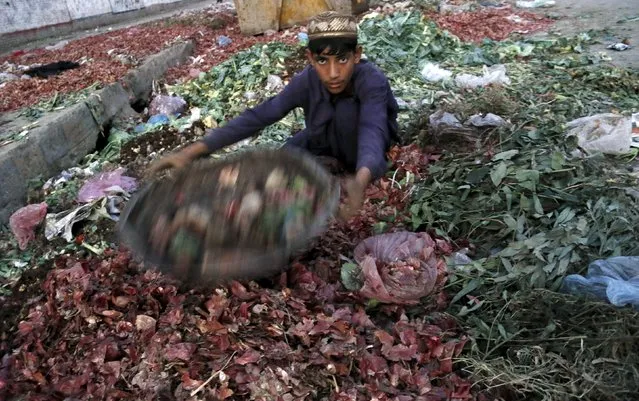 A boy searches through vegetable waste at a market in Peshawar, Pakistan, October 04, 2015. (Photo by Khuram Parvez/Reuters)