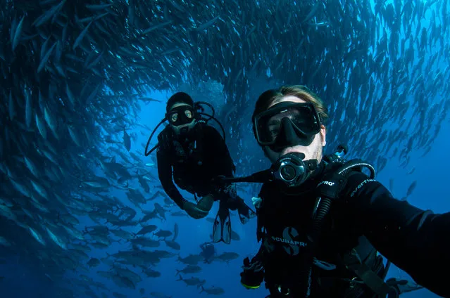 It looks like an underwater tornado, but a diver was actually stuck in the middle of a huge school of fish. The fish swarmed around Mika Woyda in their thousands as she swam off the coast of Cabo Pulmo, Mexico. Before entering the water the couple, who live in Boulder, Colorado, had some shots in mind but never imagined what they would capture. Here: photographer Caine Delacy with his wife Mika Woyda. (Photo by Caine Delacy/Mika Woyda/Caters News)